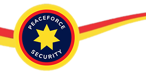 peace force security